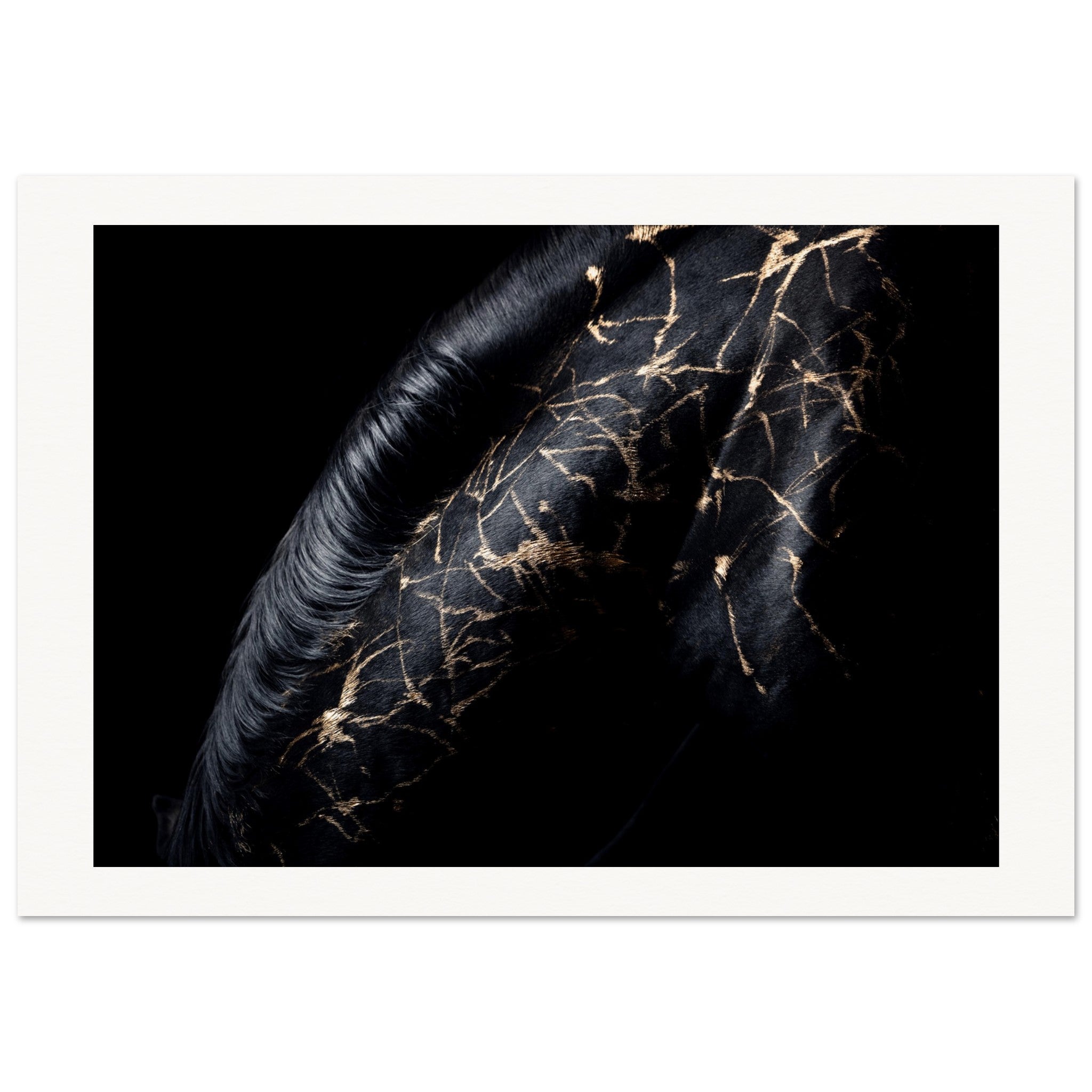 0d74175b-f882-4f8f-8673-da520216edfb