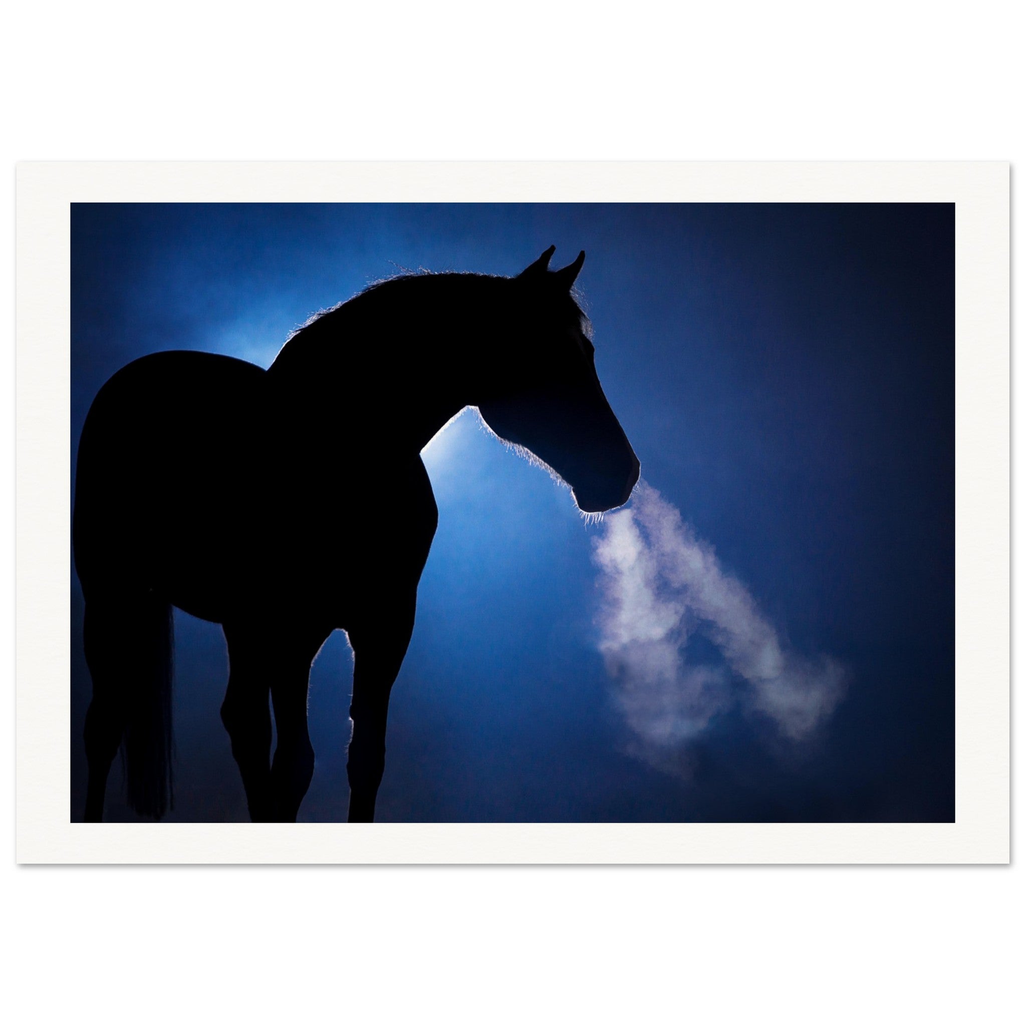 0d8521e8-b9fa-46ba-b3b8-42b743e85d33