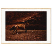 0dcf5eaf-987a-4a8c-bab5-58704314d09c