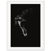 0dcfff03-6f50-4f97-9019-13b4b9a67f0d