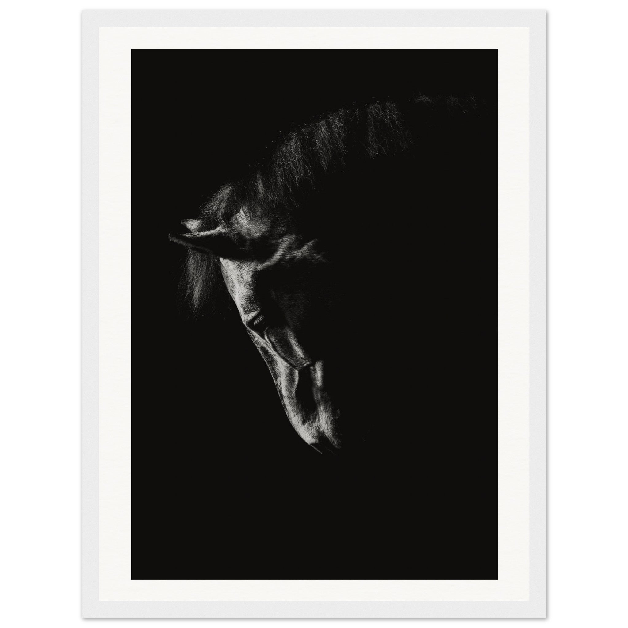 0dcfff03-6f50-4f97-9019-13b4b9a67f0d