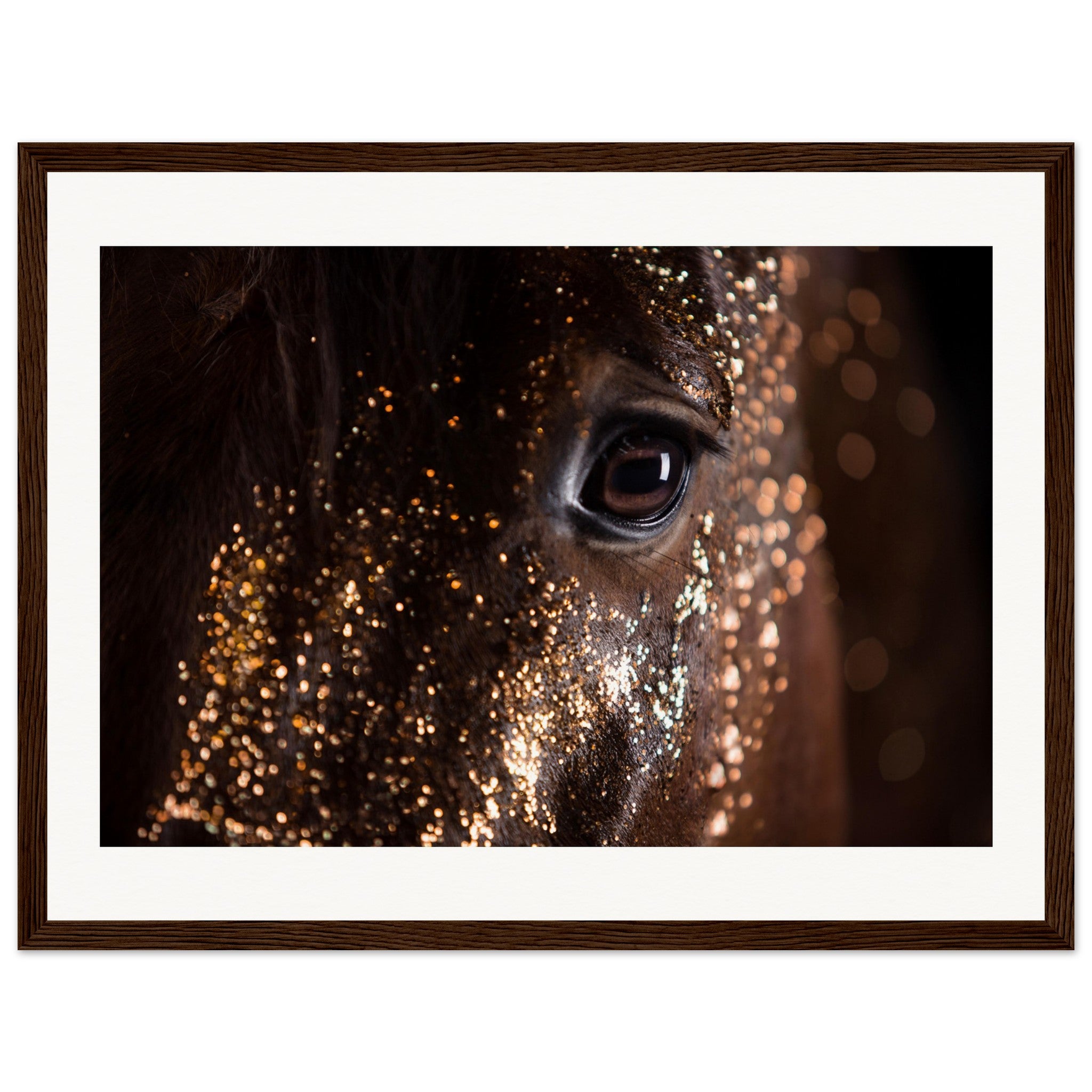 0dd19c08-0752-490c-9e4e-865d1965b223