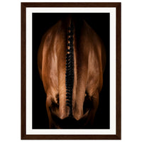 0ded5c38-07bc-4699-8777-2b8a746f1e9e