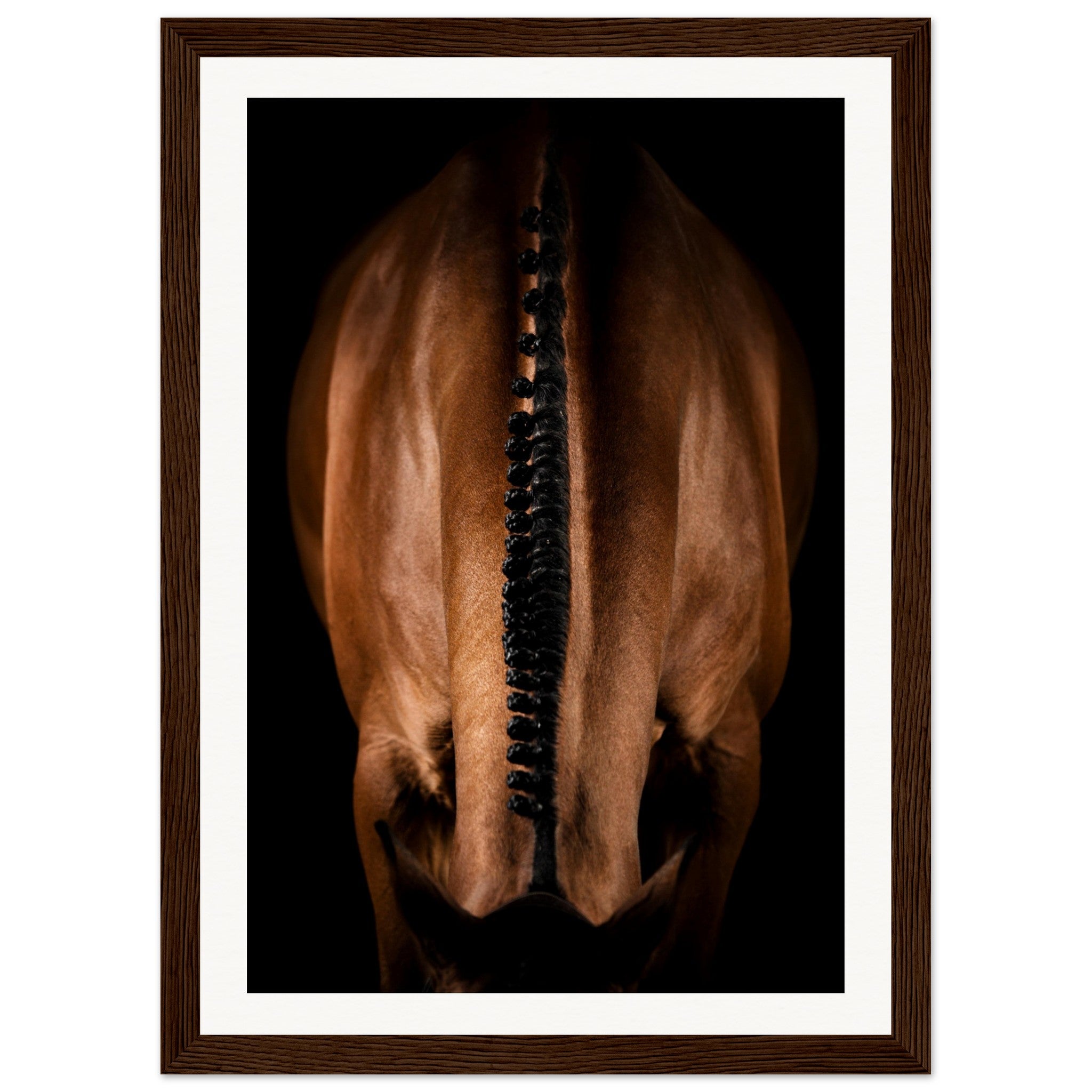 0ded5c38-07bc-4699-8777-2b8a746f1e9e