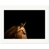 0e414219-0925-447a-866c-2e6083b4d95f