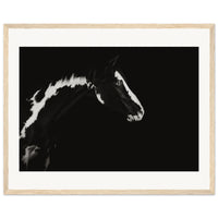 0e44a83c-7f43-4e90-8ebb-0326e72abcd3