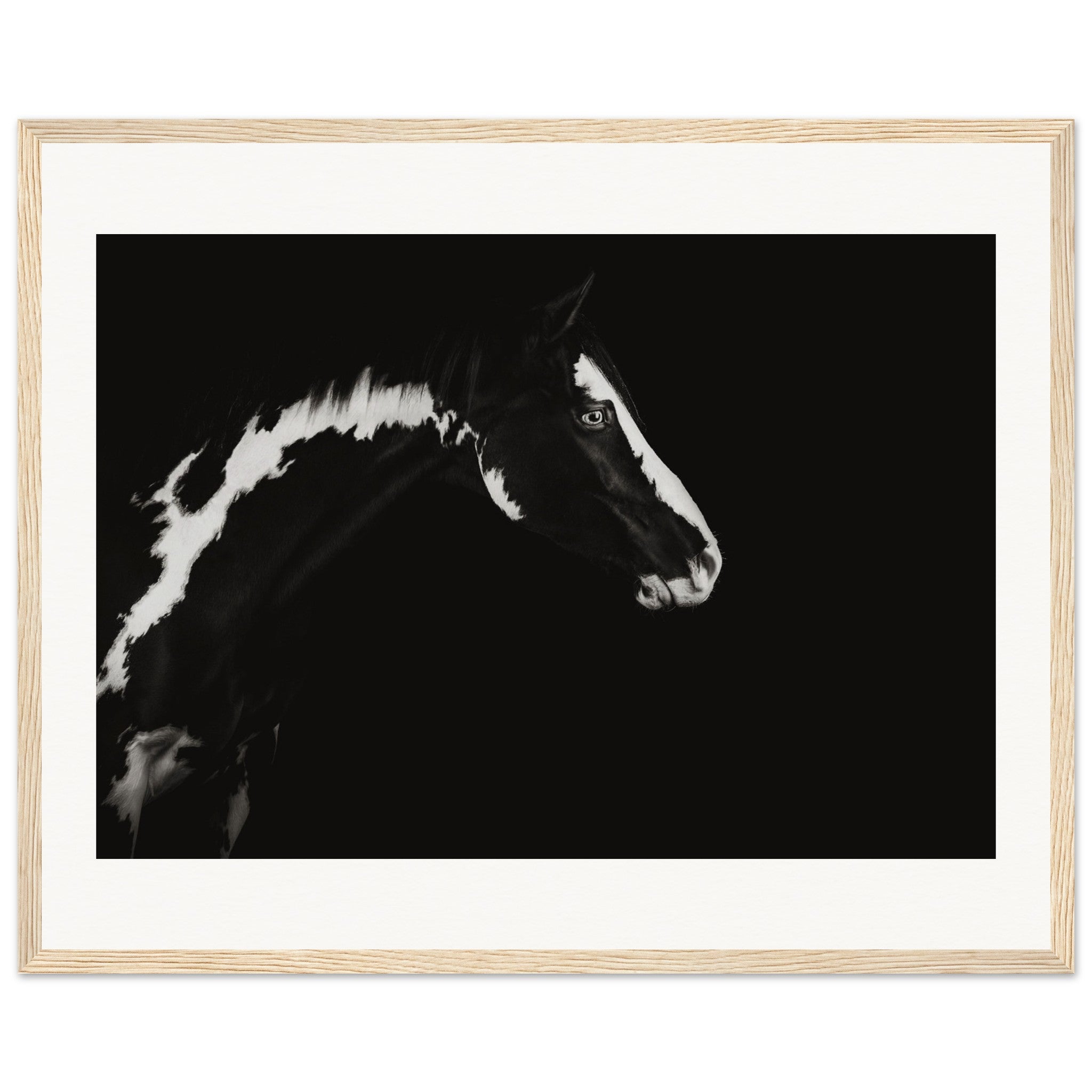 0e44a83c-7f43-4e90-8ebb-0326e72abcd3