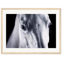 0e767ceb-0319-444e-816b-6ae4d274e052