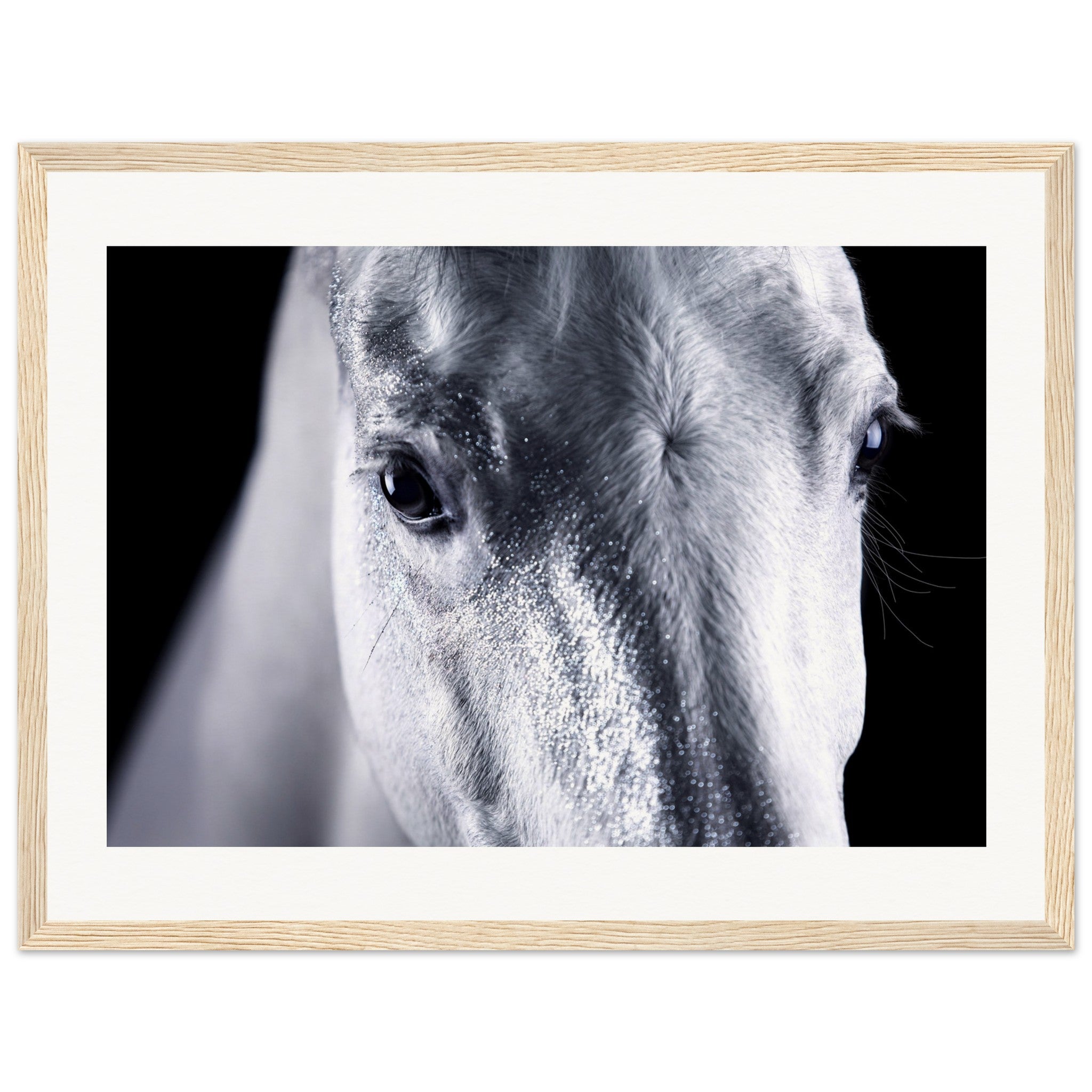 0e767ceb-0319-444e-816b-6ae4d274e052