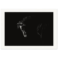 0e7d4615-00d7-4c55-a752-4bae8d919792