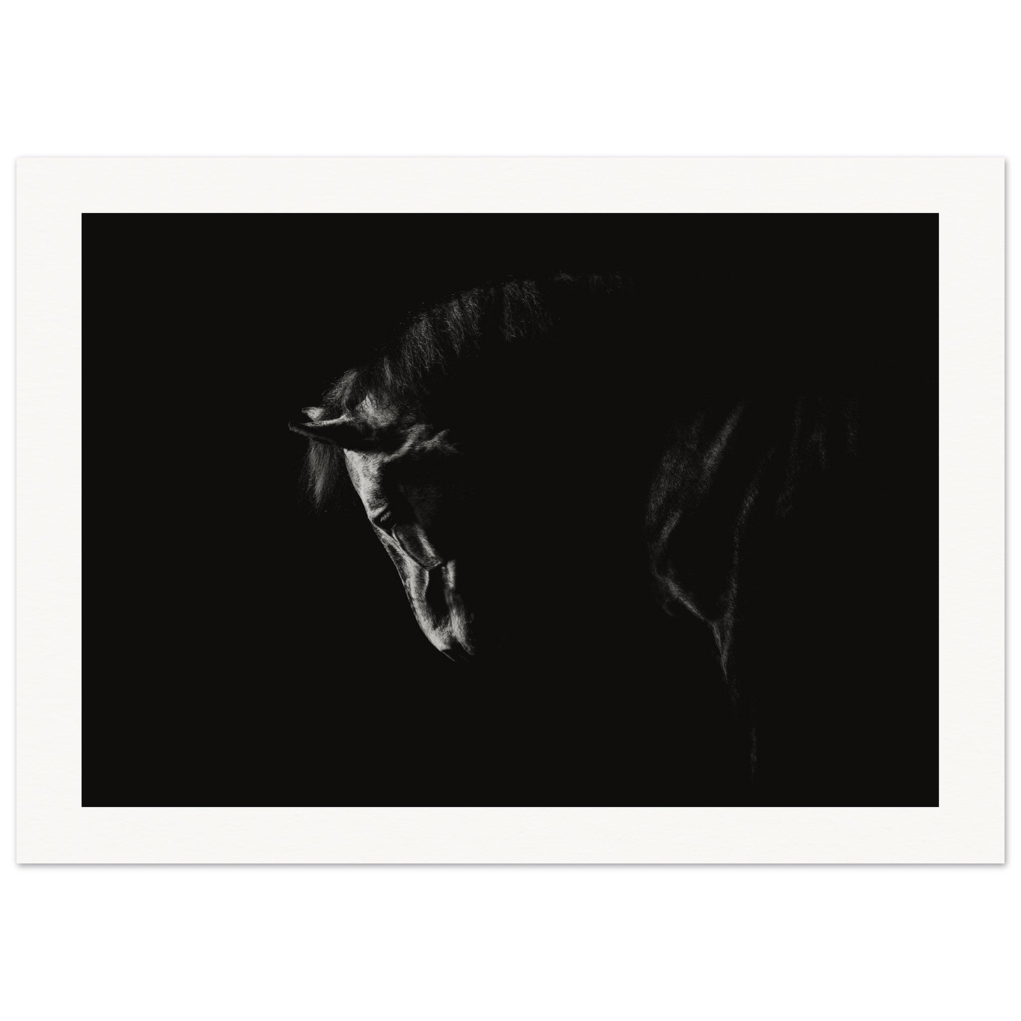 0e7d4615-00d7-4c55-a752-4bae8d919792