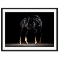 0ed36469-b039-440e-bf3f-881b1255ed06