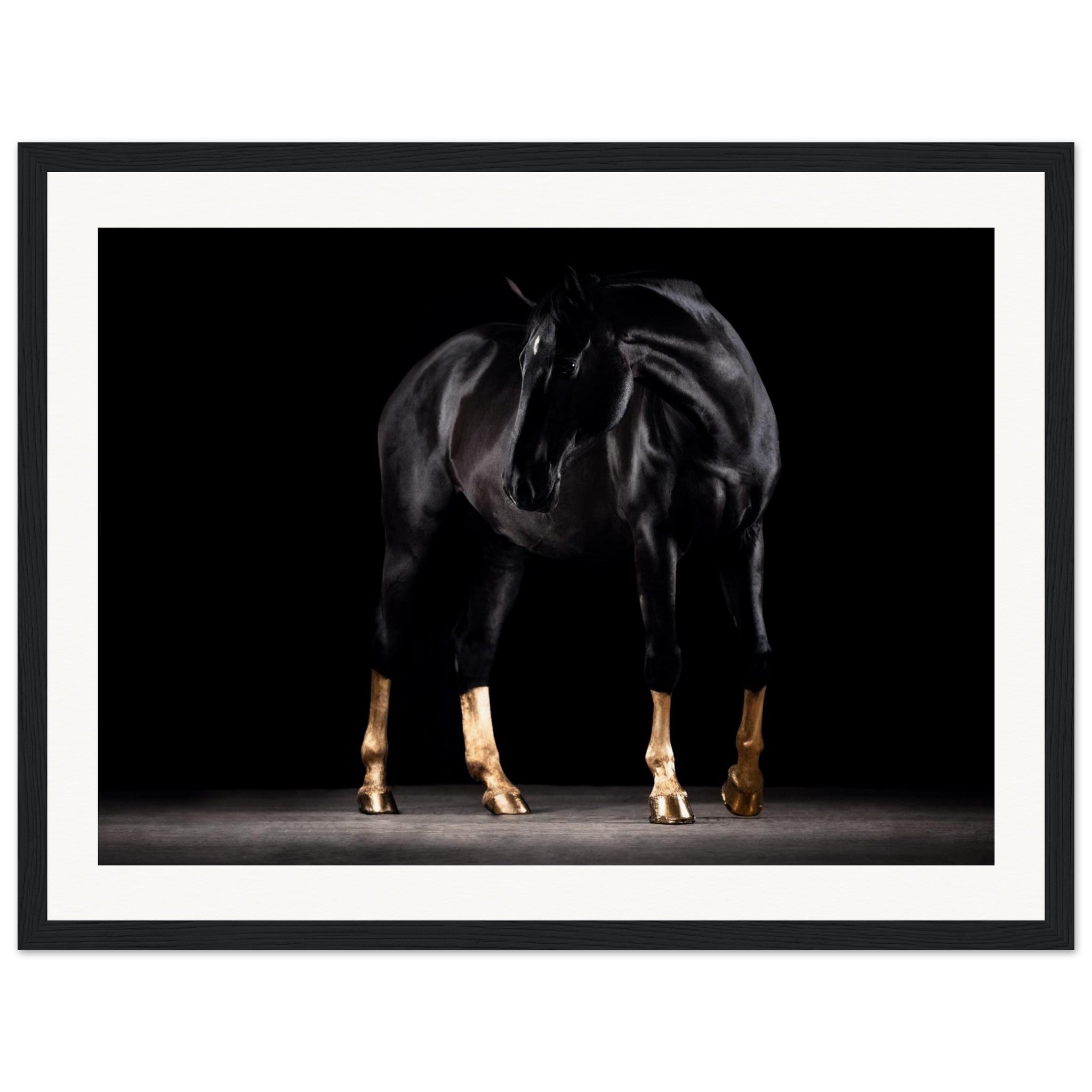 0ed36469-b039-440e-bf3f-881b1255ed06