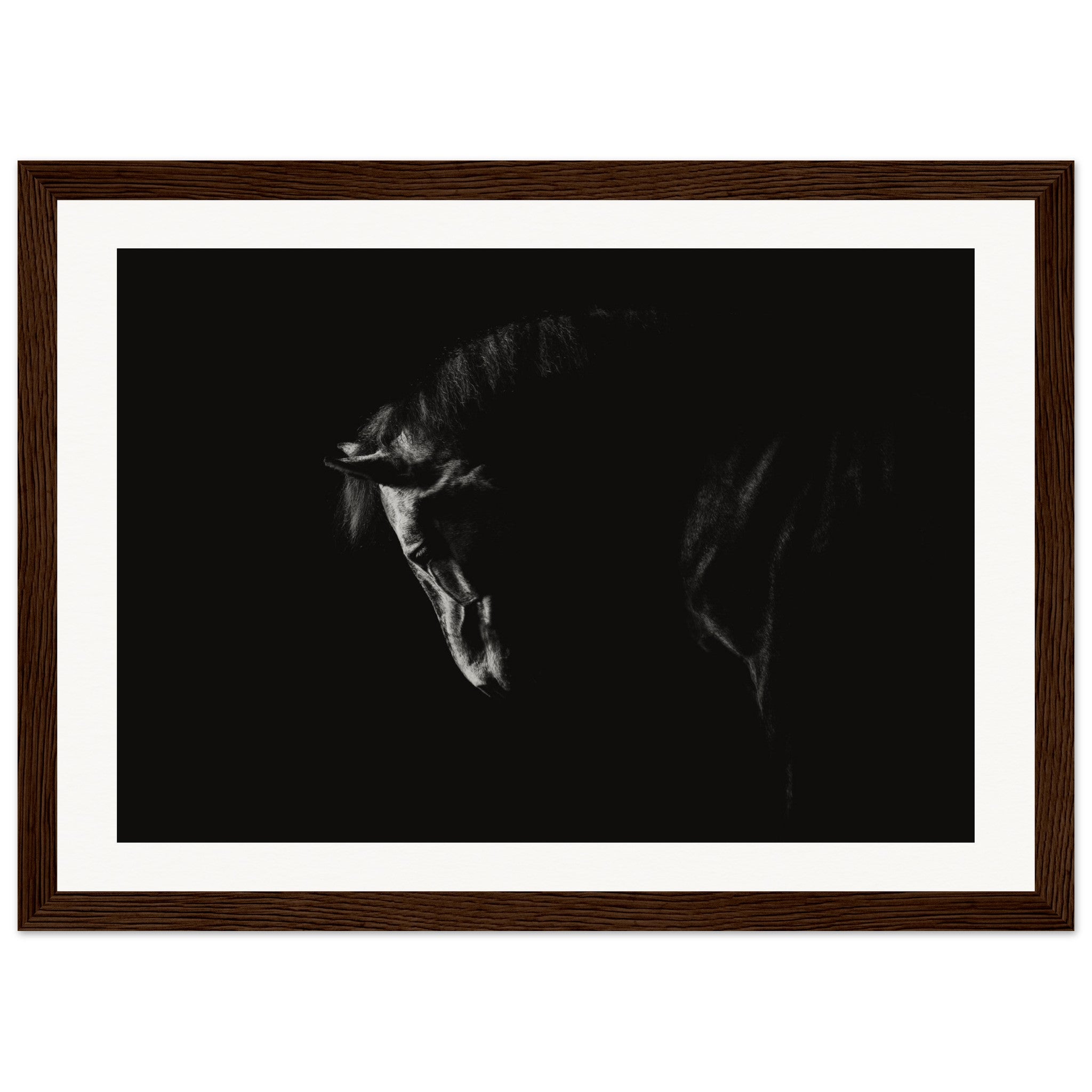 0ed67463-9b5e-4aee-997c-bf9a6ce53194