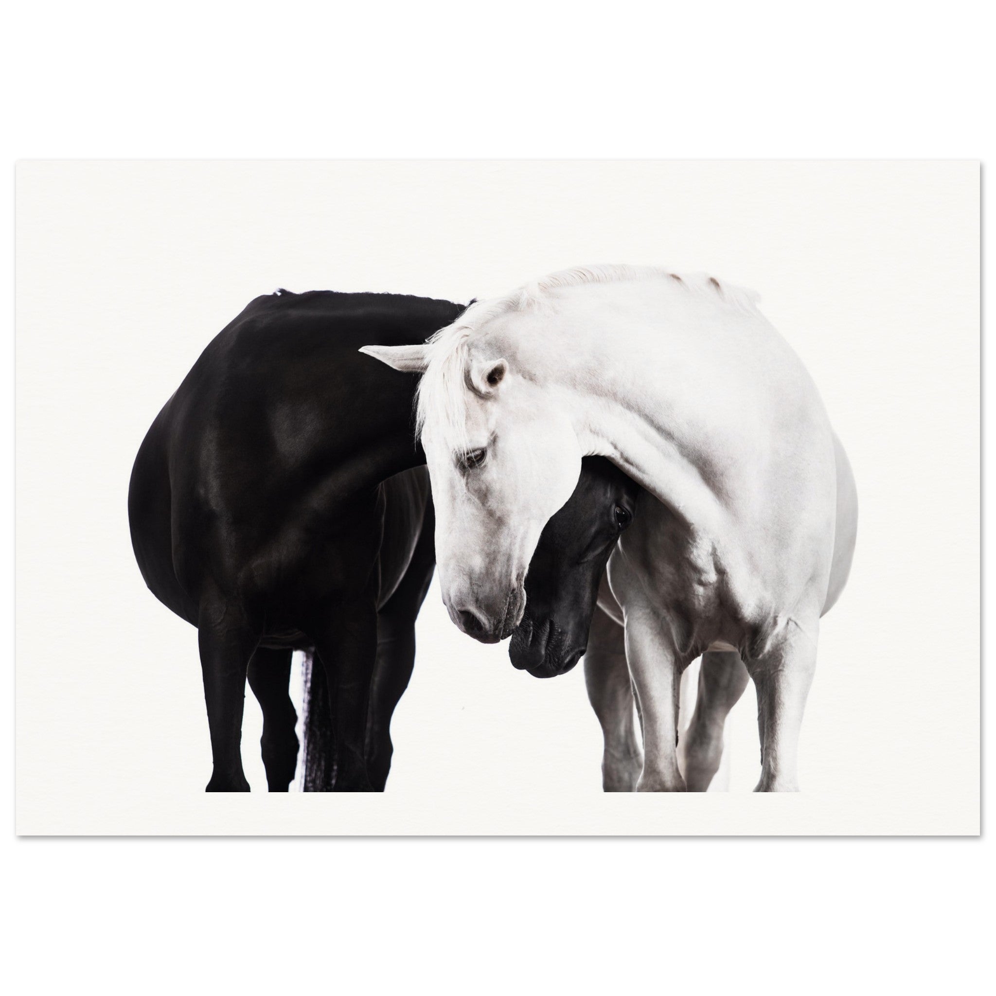 0f7d26ea-e120-458f-8eae-d5a6176d6ed3