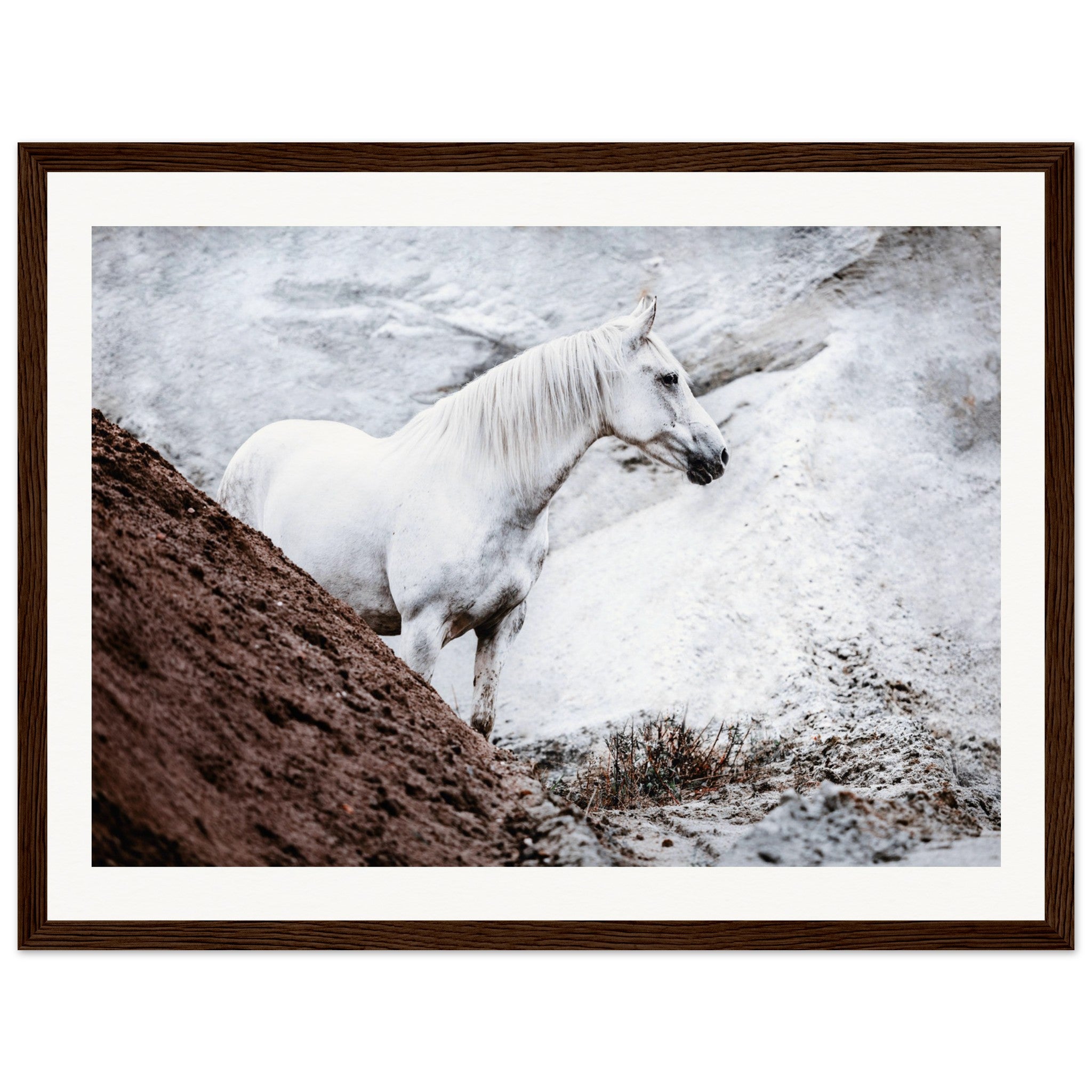 0fc6f2ce-c016-4c43-90ab-51d03f90b965