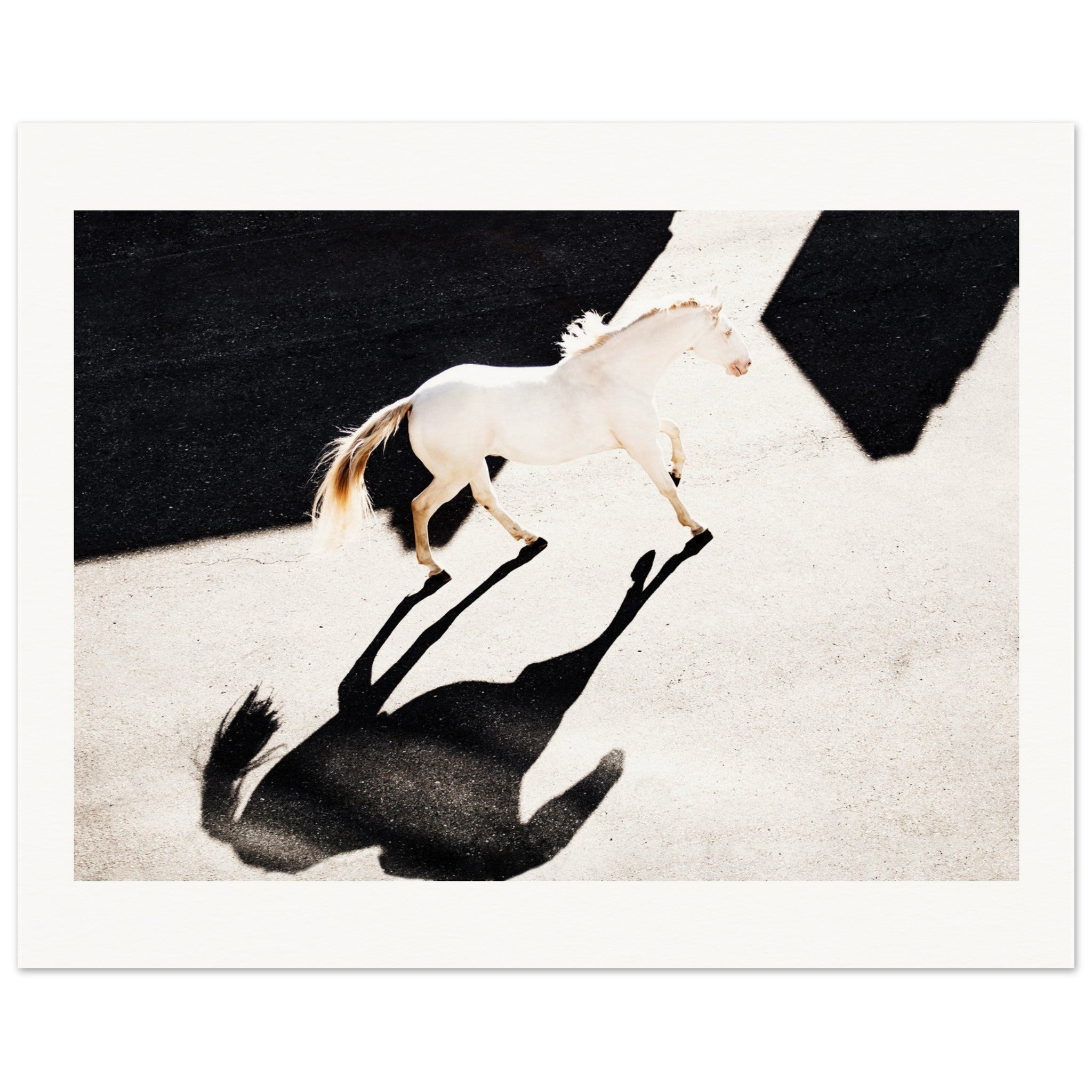 10090688-f730-4dbc-a461-8a51a1d5d7e0