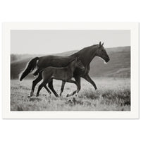 101e37c3-50f0-4129-b76a-154cfa30bbc7