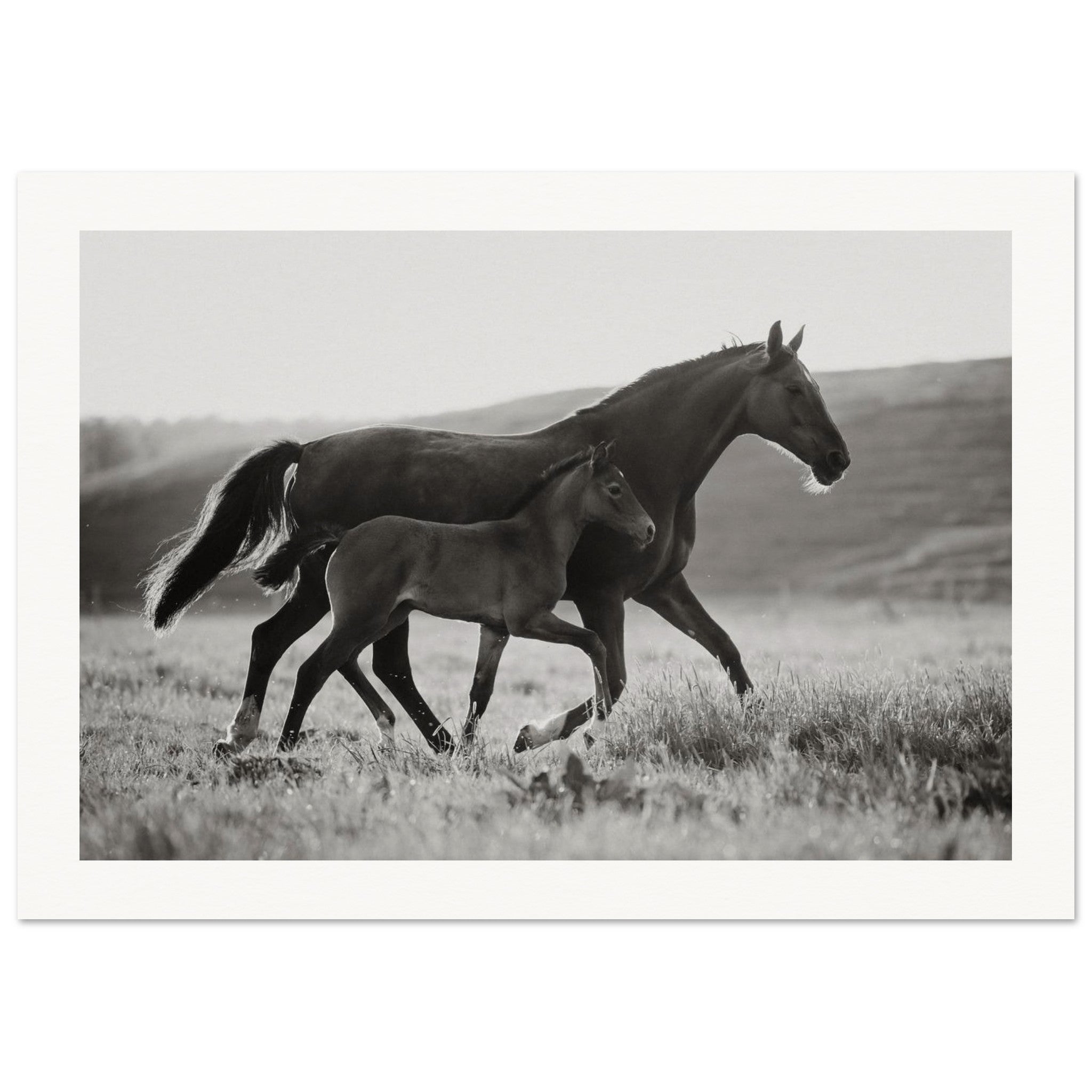 101e37c3-50f0-4129-b76a-154cfa30bbc7