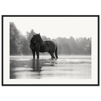 1033e210-cea7-4c37-913e-915e900331a8