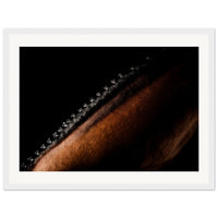 106d6ef3-e461-4331-bb00-34dc88e4d3b7