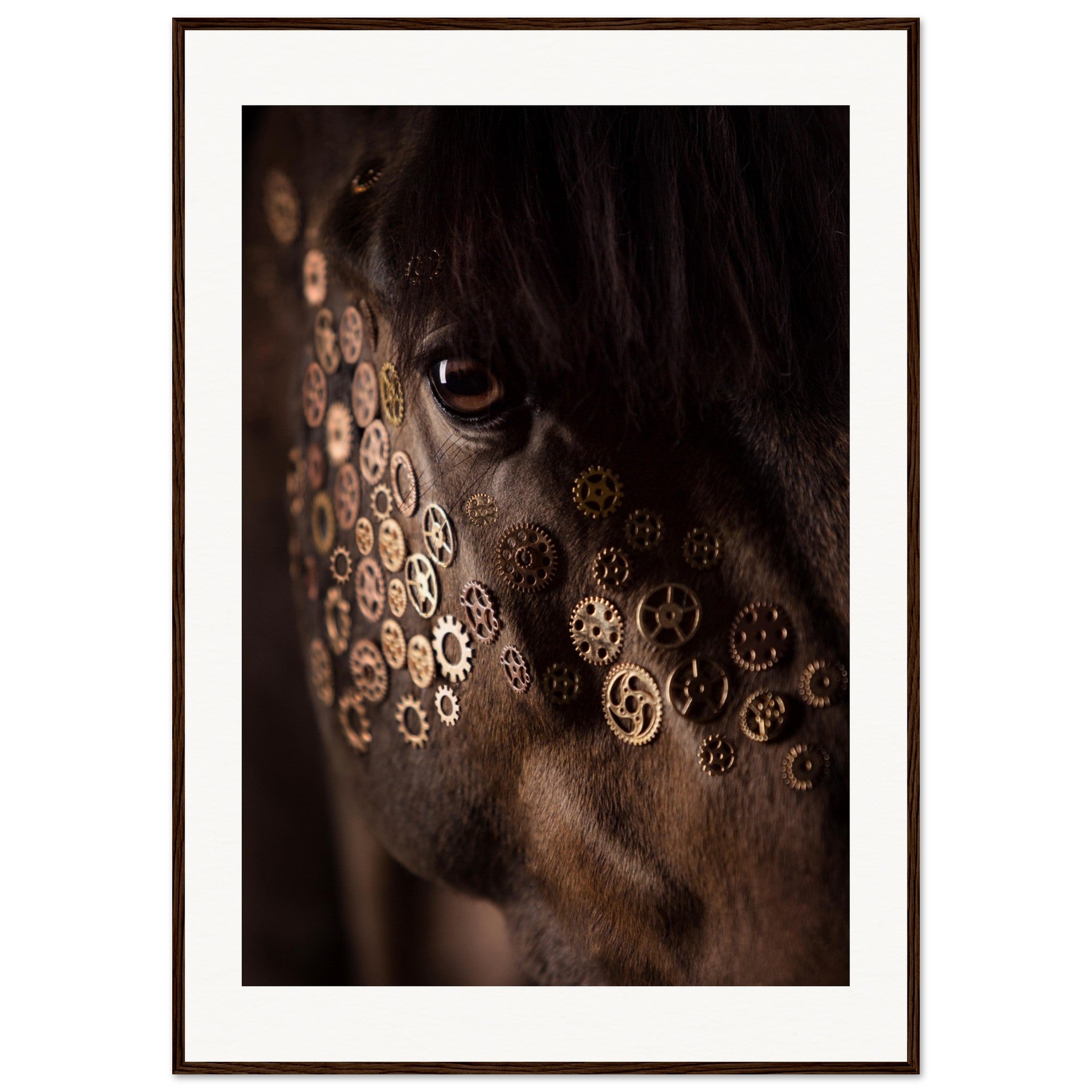 10917c6b-68ec-4afa-899c-effe2af33e05