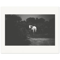 10b8276a-8c48-4e43-926f-492fffb065cc