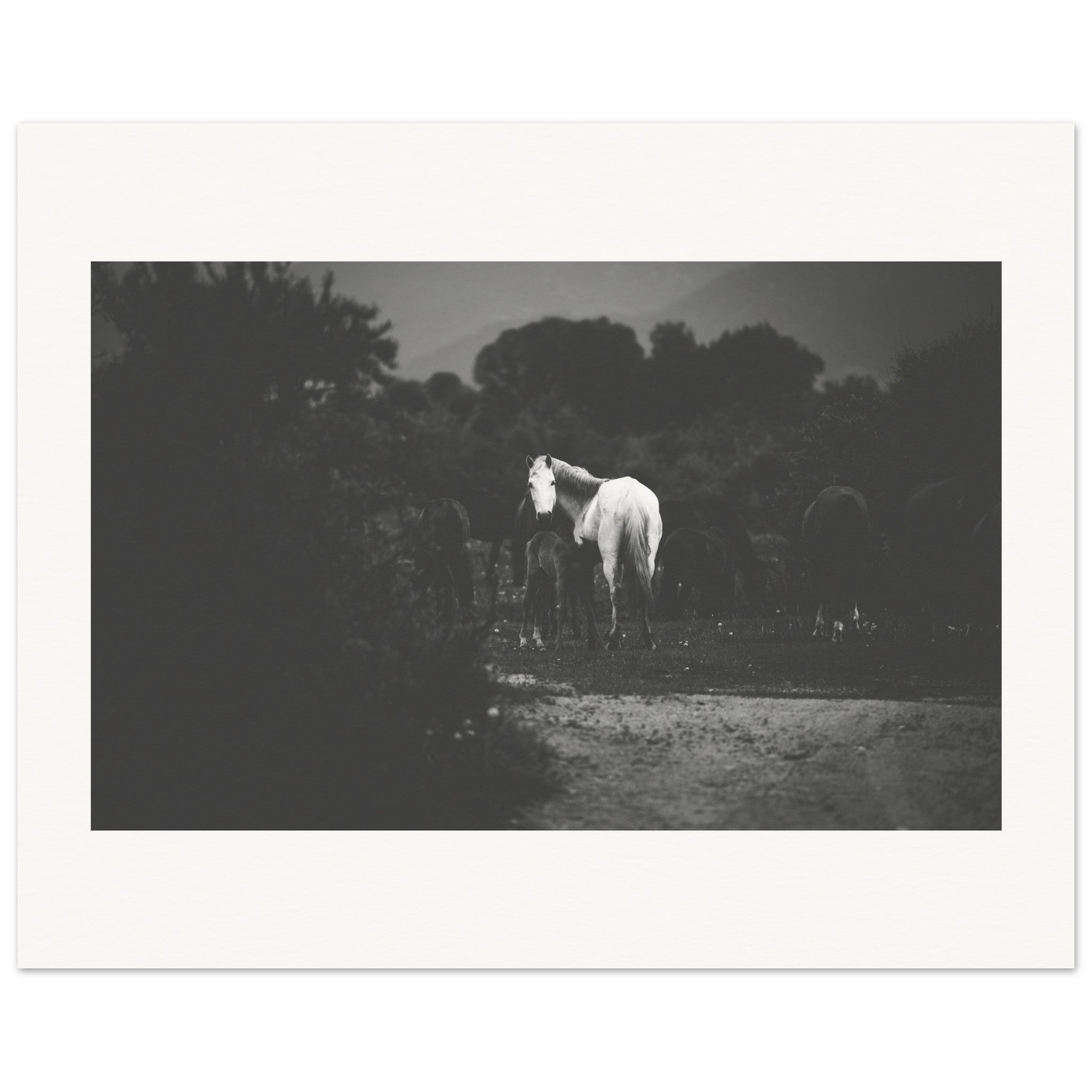 10b8276a-8c48-4e43-926f-492fffb065cc