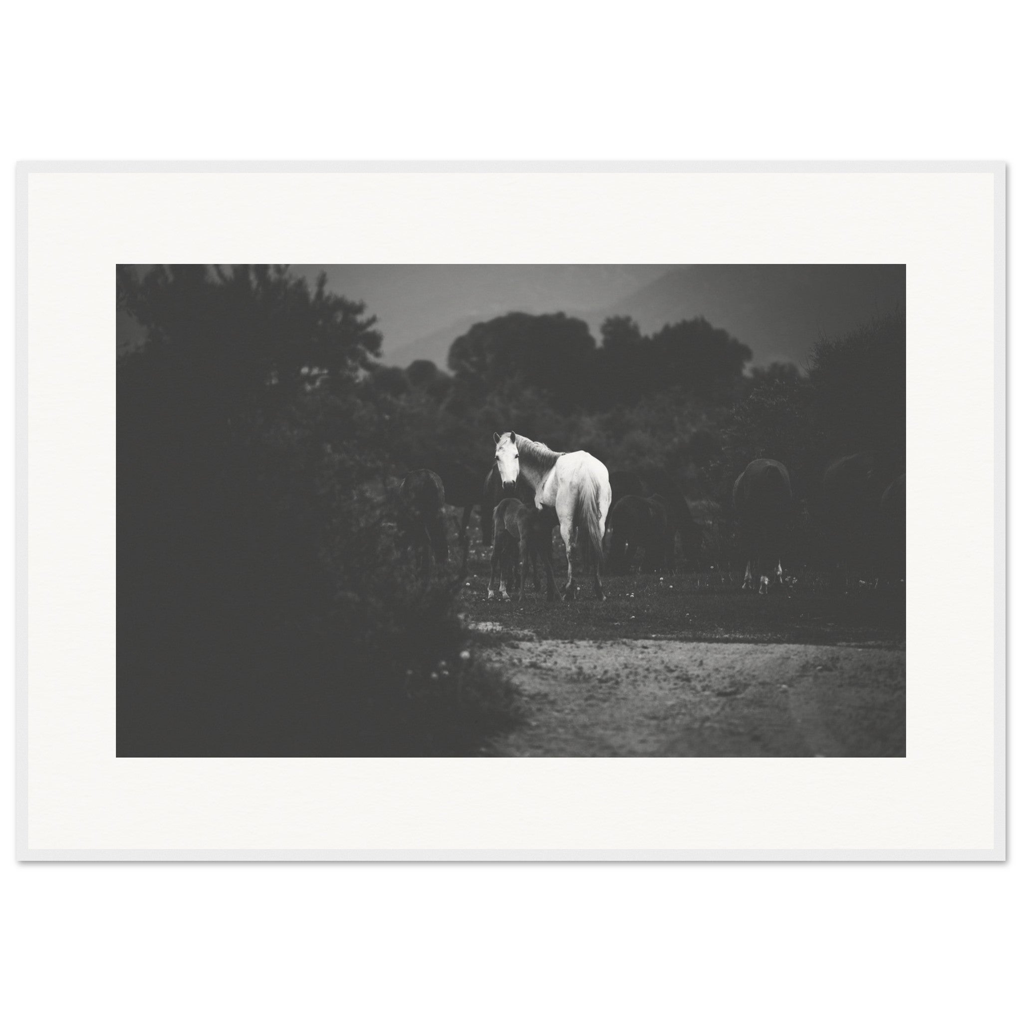 10c2a419-b907-431e-a10e-5e90200cb89d