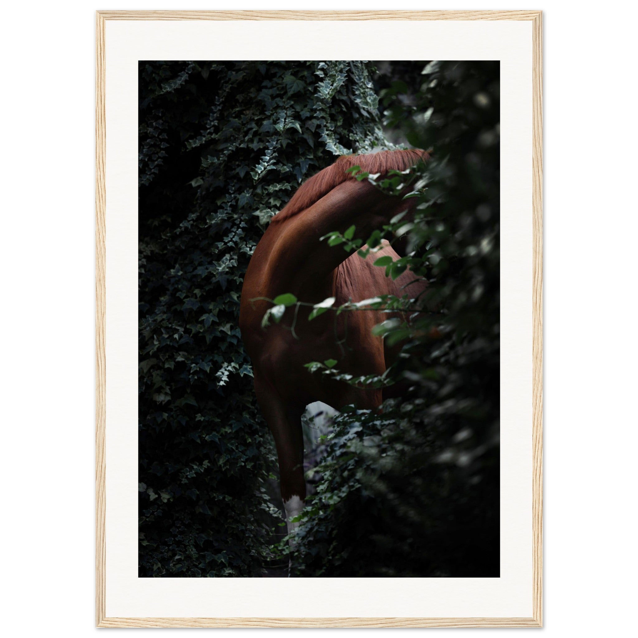 10d9d319-a372-43cf-be34-4a41e4048e11