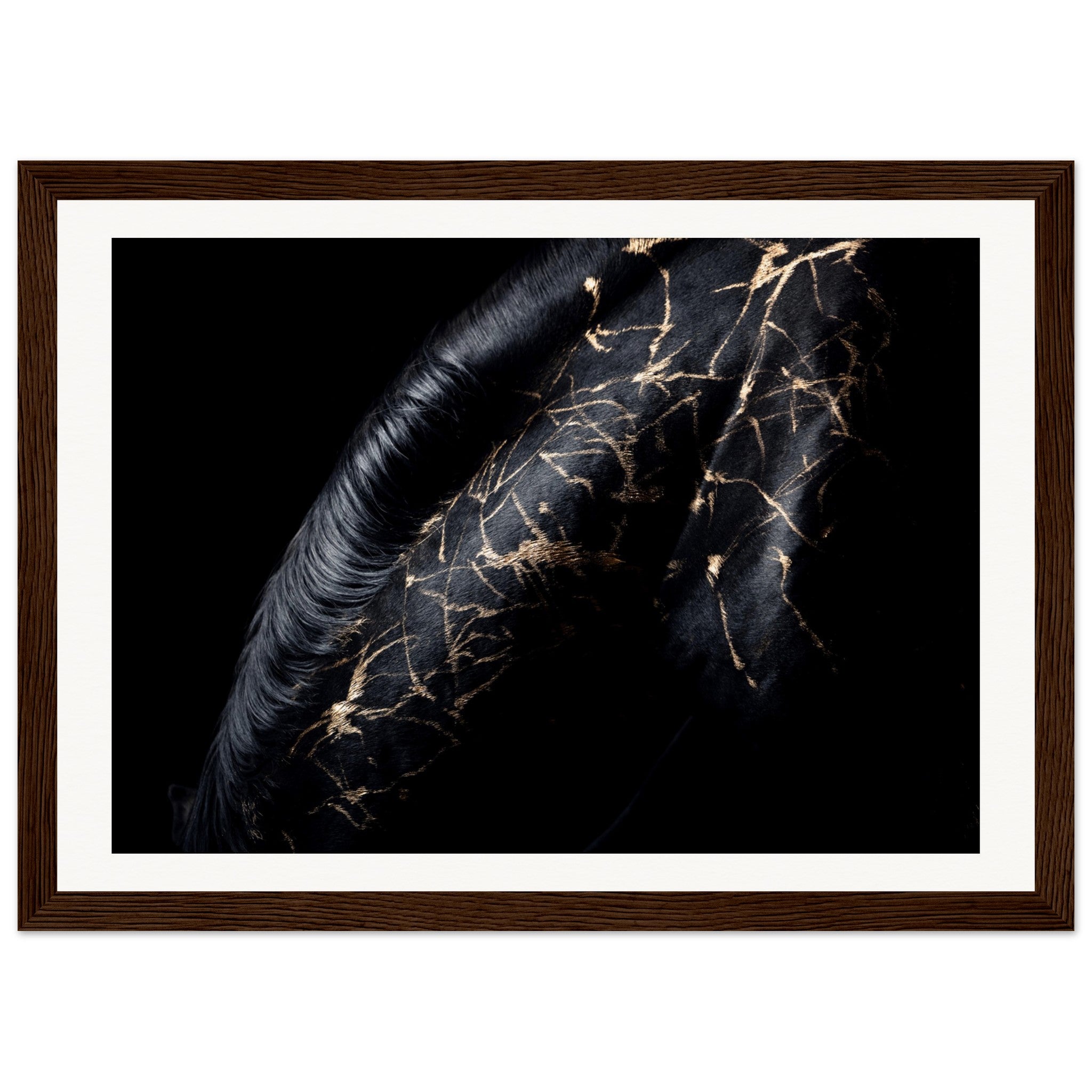 10f4aea6-de0b-4a21-a929-e3d4ab68cc14