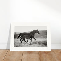 111223f0-c30b-4174-9699-d69b70faf871