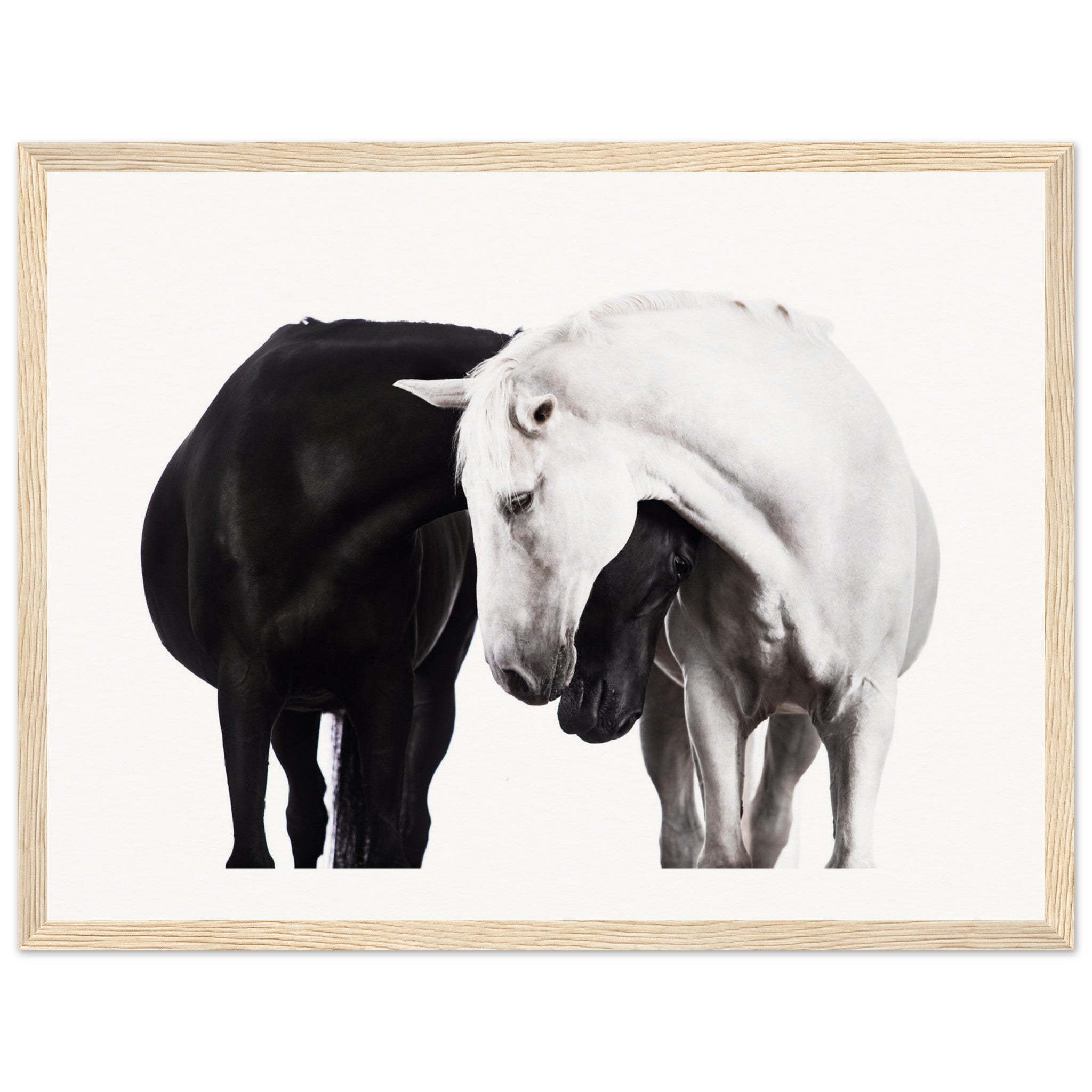 116cf4df-f57c-41ae-902b-637f4f9d38f4