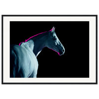 1189d4ef-2f67-47c6-b733-ba0e26af5d25