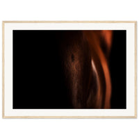 11bd8dd0-ec50-4227-9d73-ff6afdd8137e