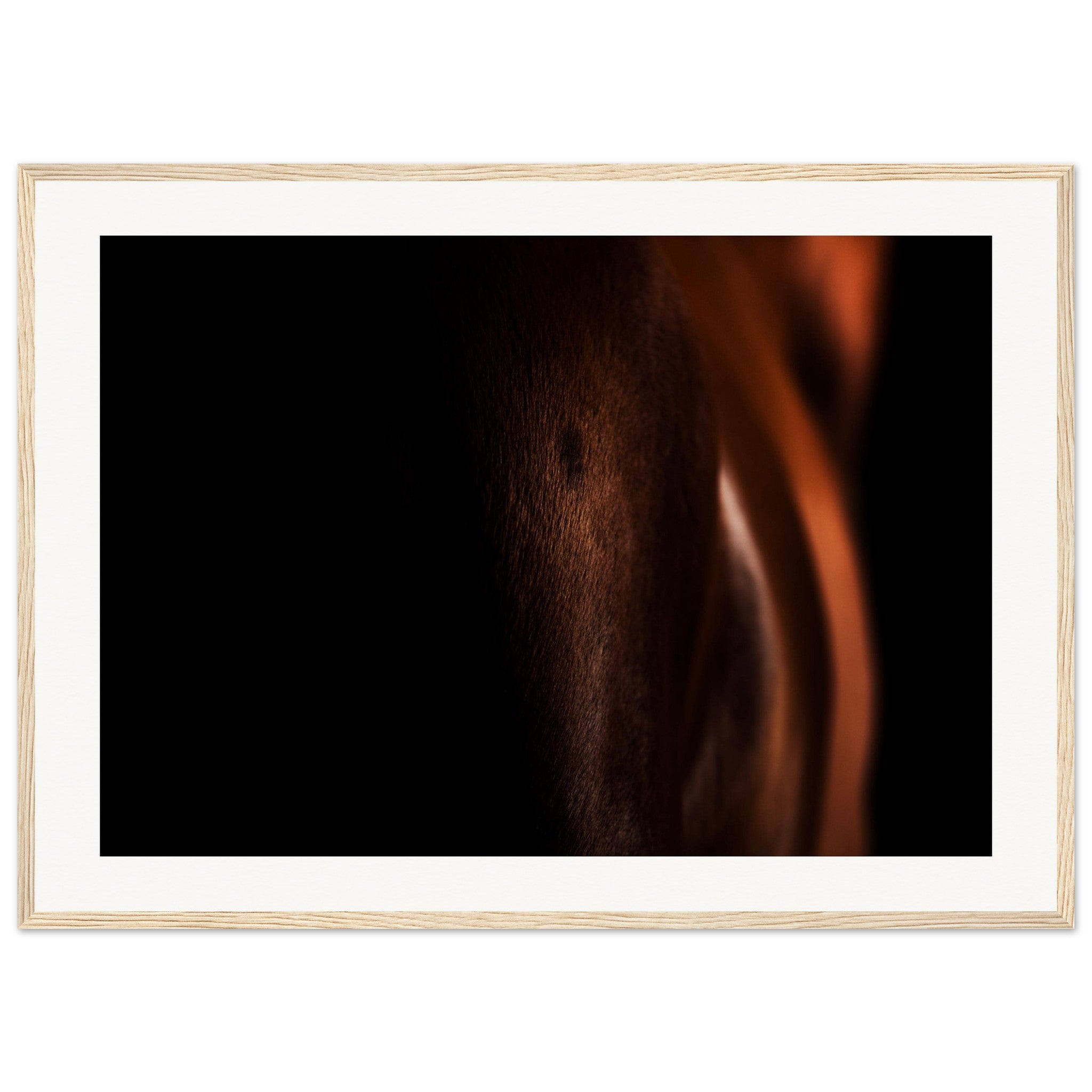 11bd8dd0-ec50-4227-9d73-ff6afdd8137e