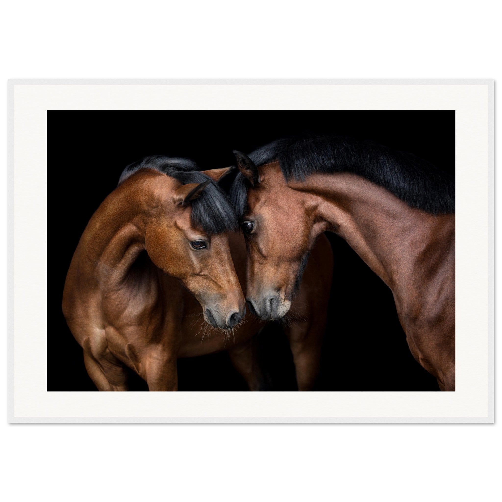 11e58242-89fb-4c03-91b1-6e510a628cbc