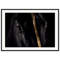 12077aac-fbff-4594-8eb1-e13bc28740d8