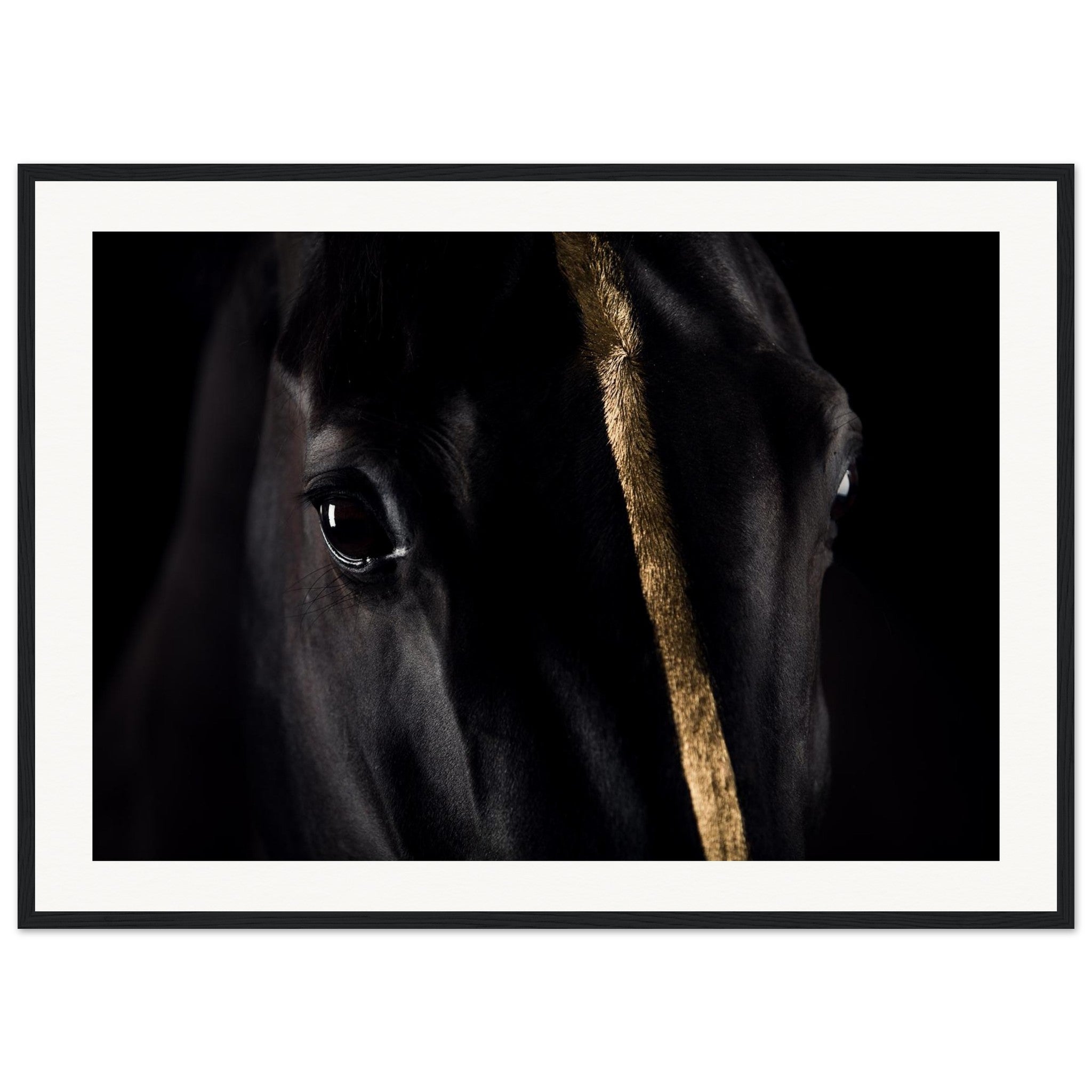 12077aac-fbff-4594-8eb1-e13bc28740d8