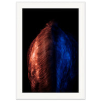 12092c66-2d5f-45ca-854b-f4778d9fde92