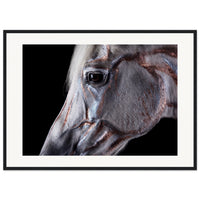 12508a42-43d4-4c1f-968b-1f0ed5c11896