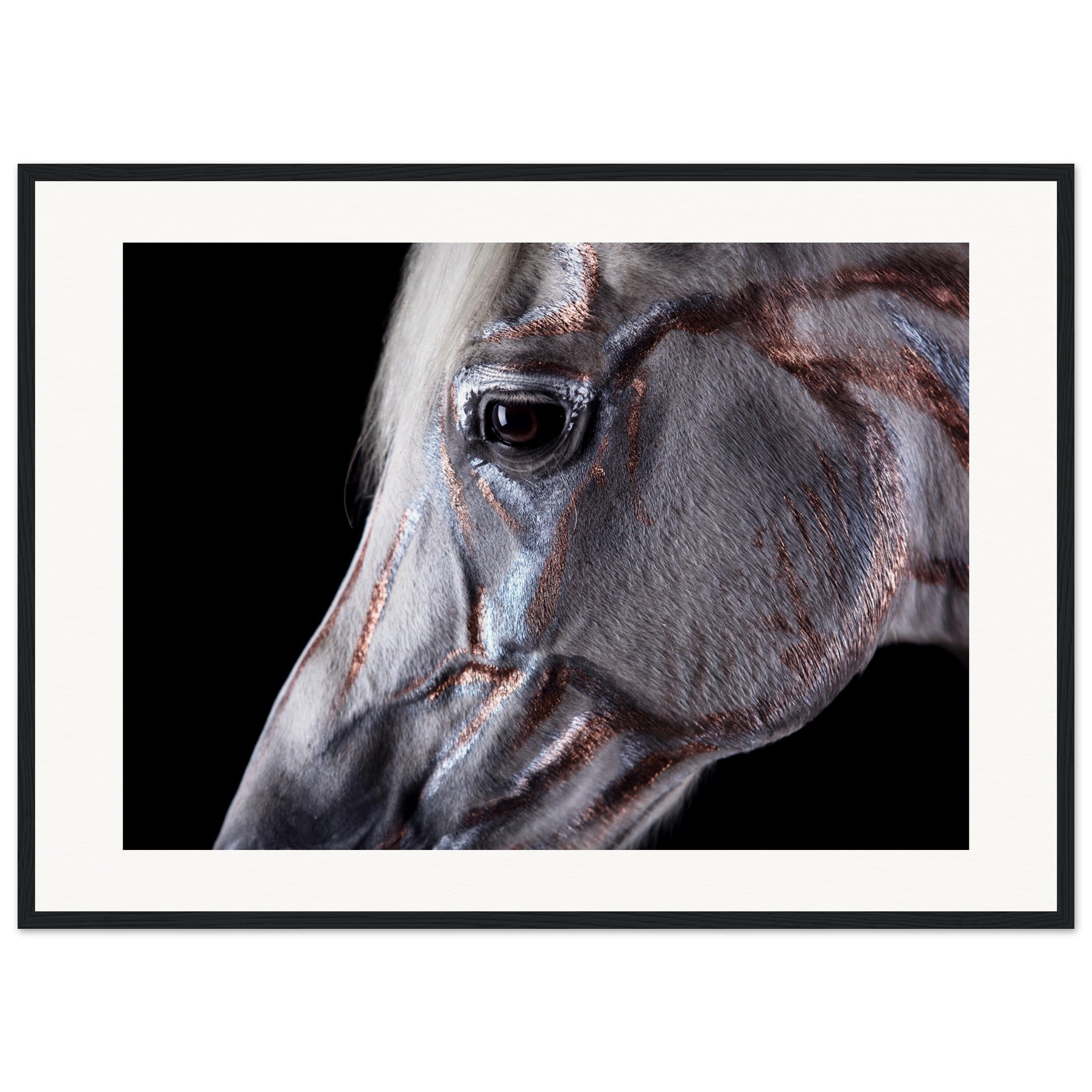 12508a42-43d4-4c1f-968b-1f0ed5c11896