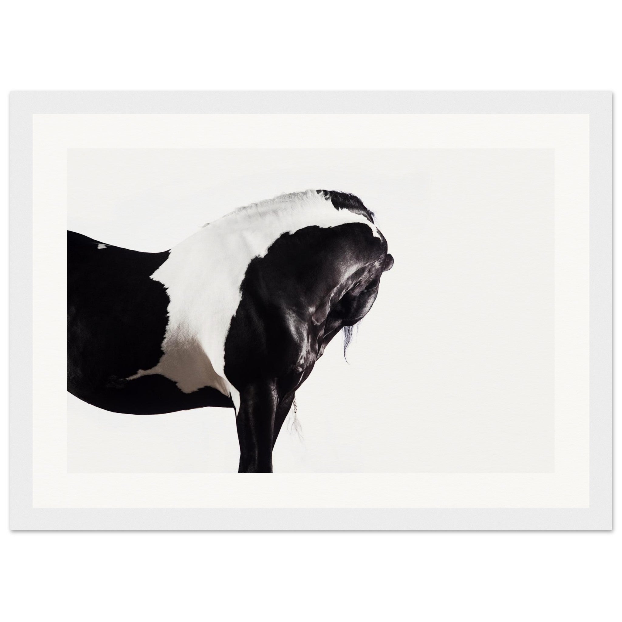 125c89a6-05a1-4db0-be21-04f12f16b8ac