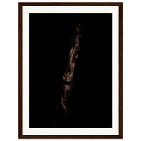 129d0f69-0aee-4d35-9344-d69b630b0027