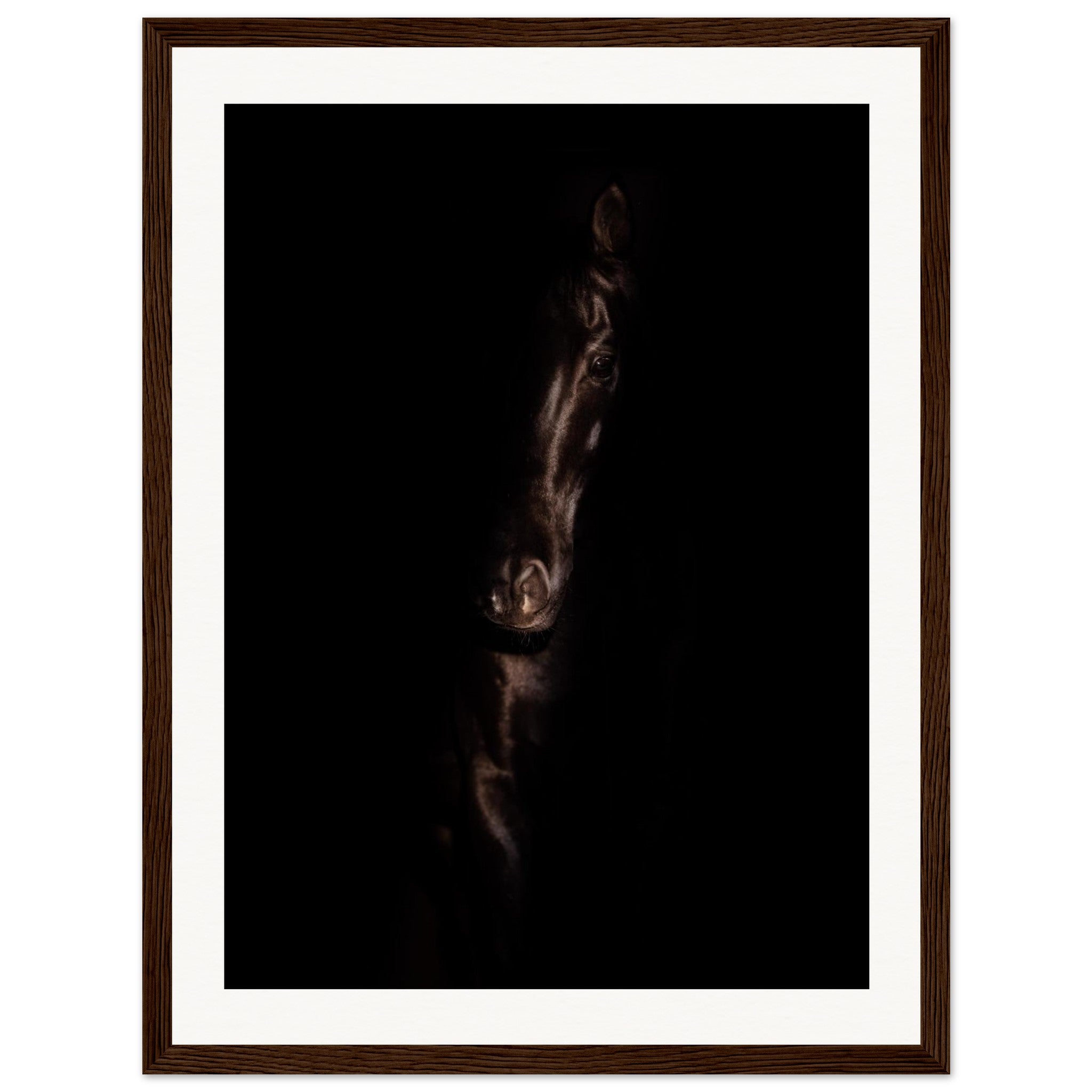 129d0f69-0aee-4d35-9344-d69b630b0027