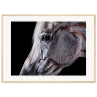 12b4d0e7-4898-47b7-9ae5-d20e8cc230b1