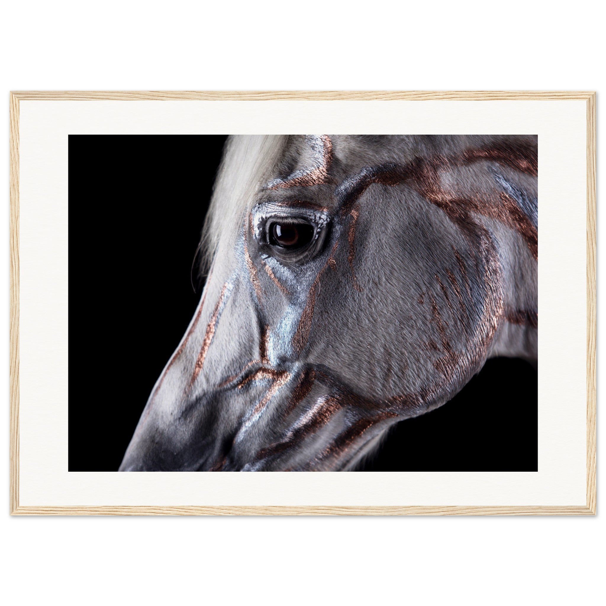 12b4d0e7-4898-47b7-9ae5-d20e8cc230b1