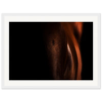 12eb14bd-473a-4624-9a47-2c09589f0209