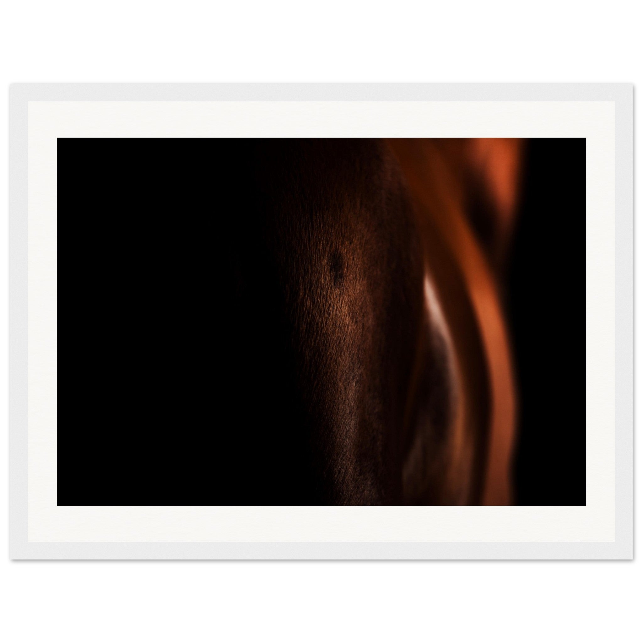 12eb14bd-473a-4624-9a47-2c09589f0209