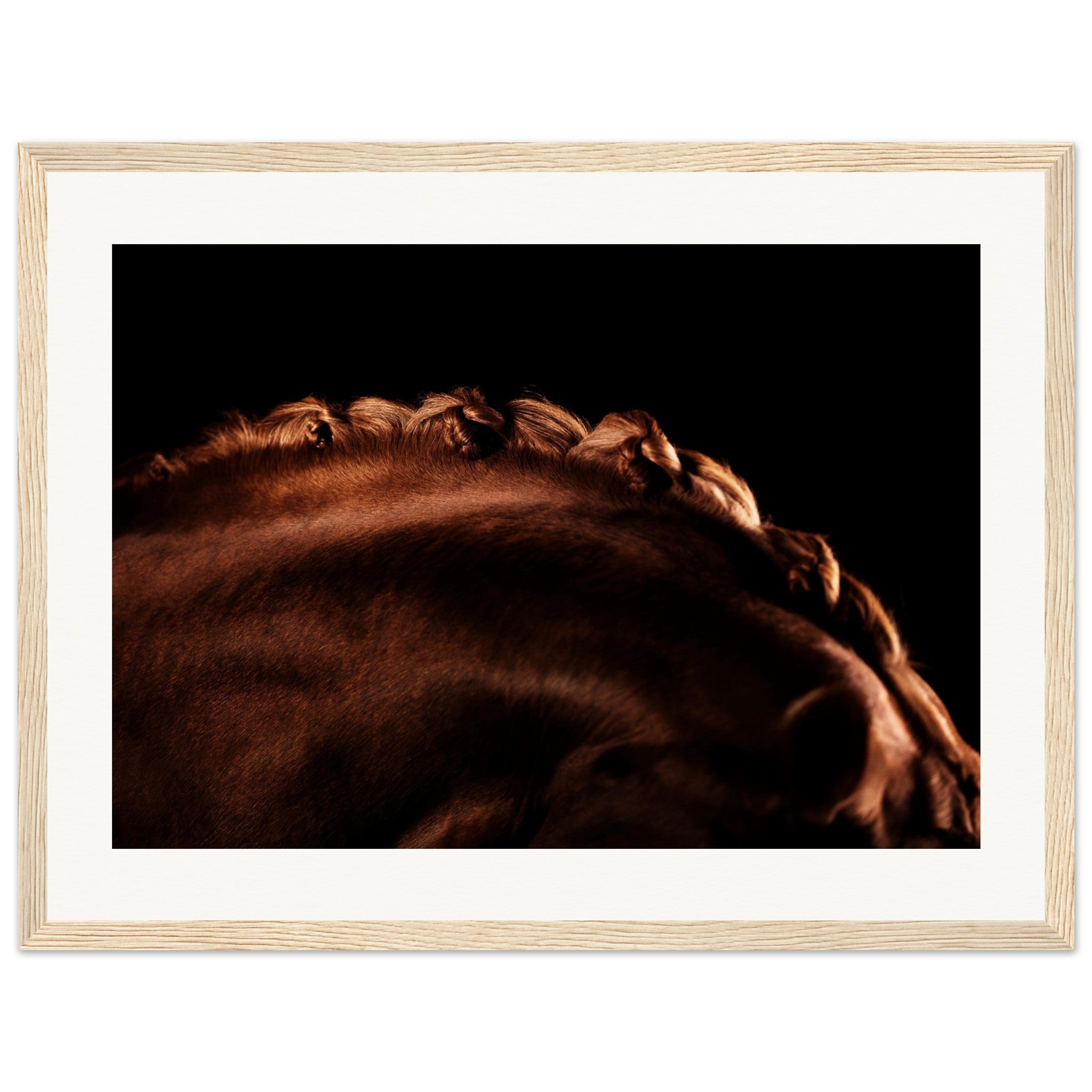 12ed42bf-805b-40ba-9776-6f959edf0b87